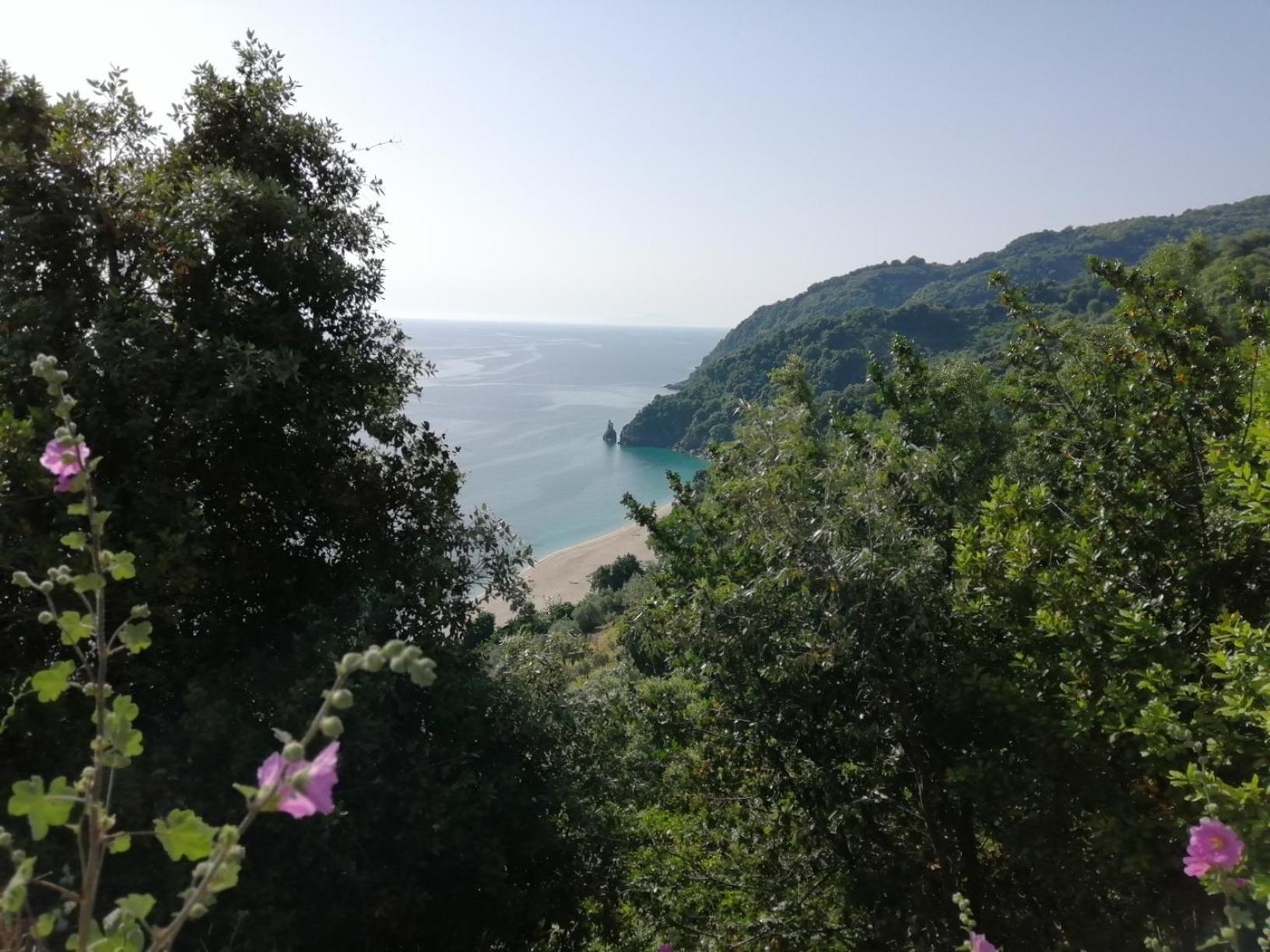 Guest House Pafili ซาโกรา ภายนอก รูปภาพ